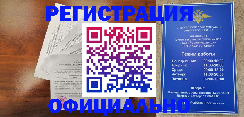 прописка поиск в Тынде